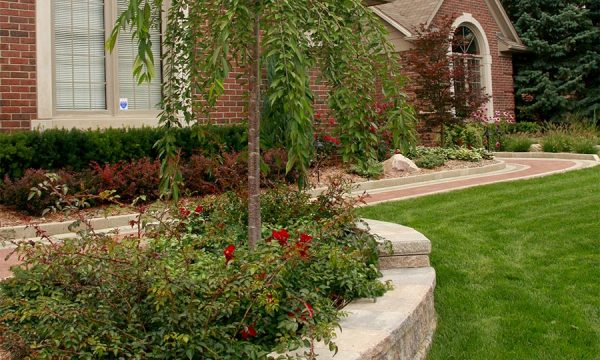 Donato Landscape project 9