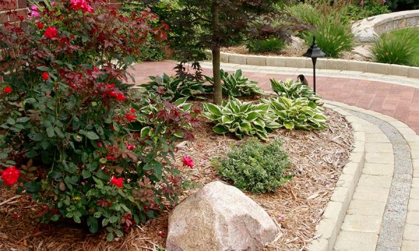 Donato Landscape project 10