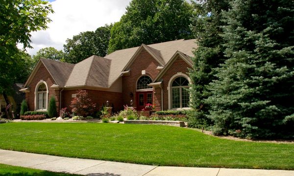 Donato Landscape project 12