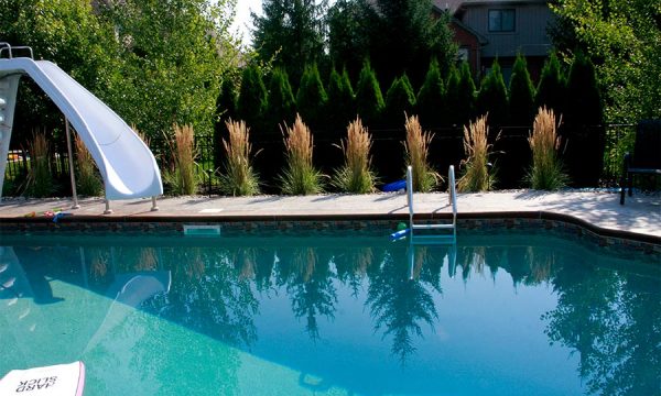 Donato Landscape project 20