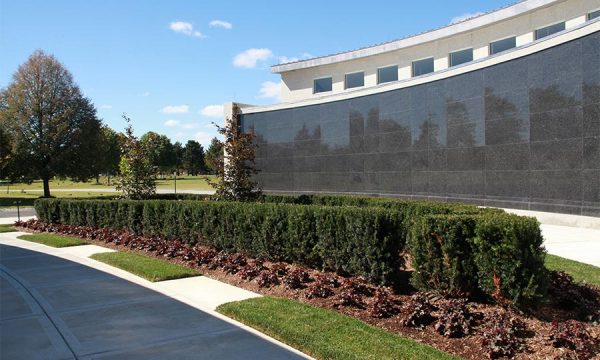 Donato Landscape project 27