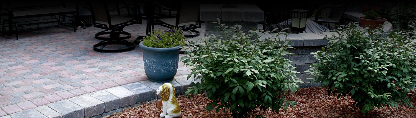 Donato Landscape team