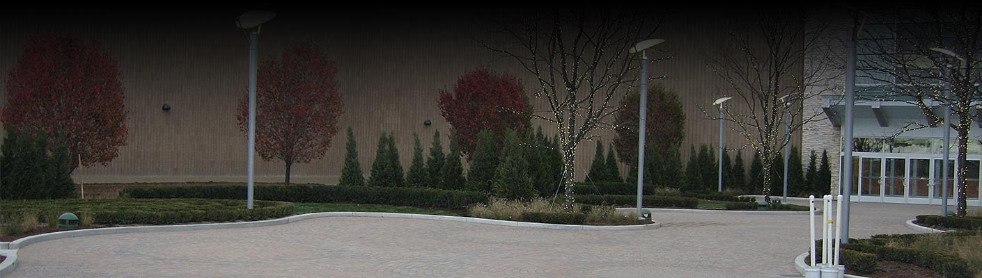 Donato Landscape work