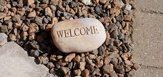 Landscape Design & Installation